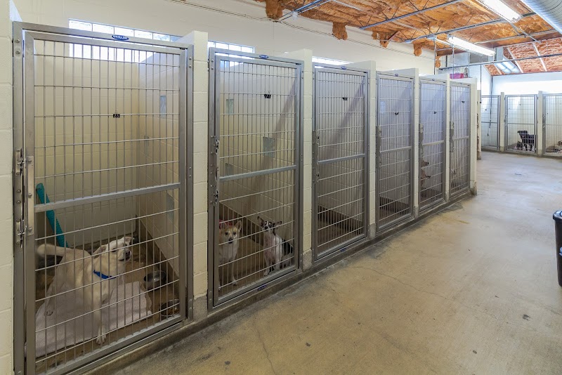 Southeast Animal Hospital