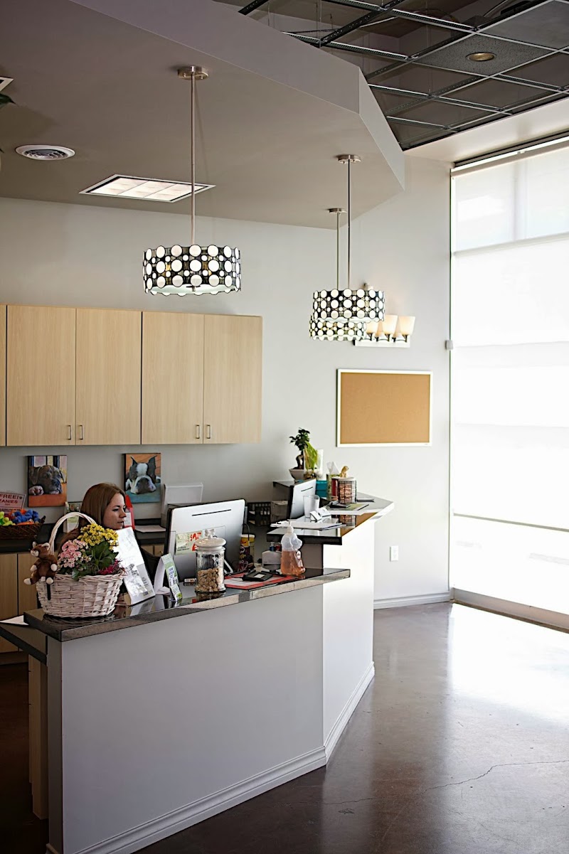 Bayou City Veterinary Hospital