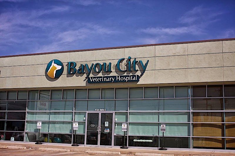 Bayou City Veterinary Hospital