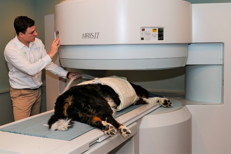 Safari Veterinary Care Centers