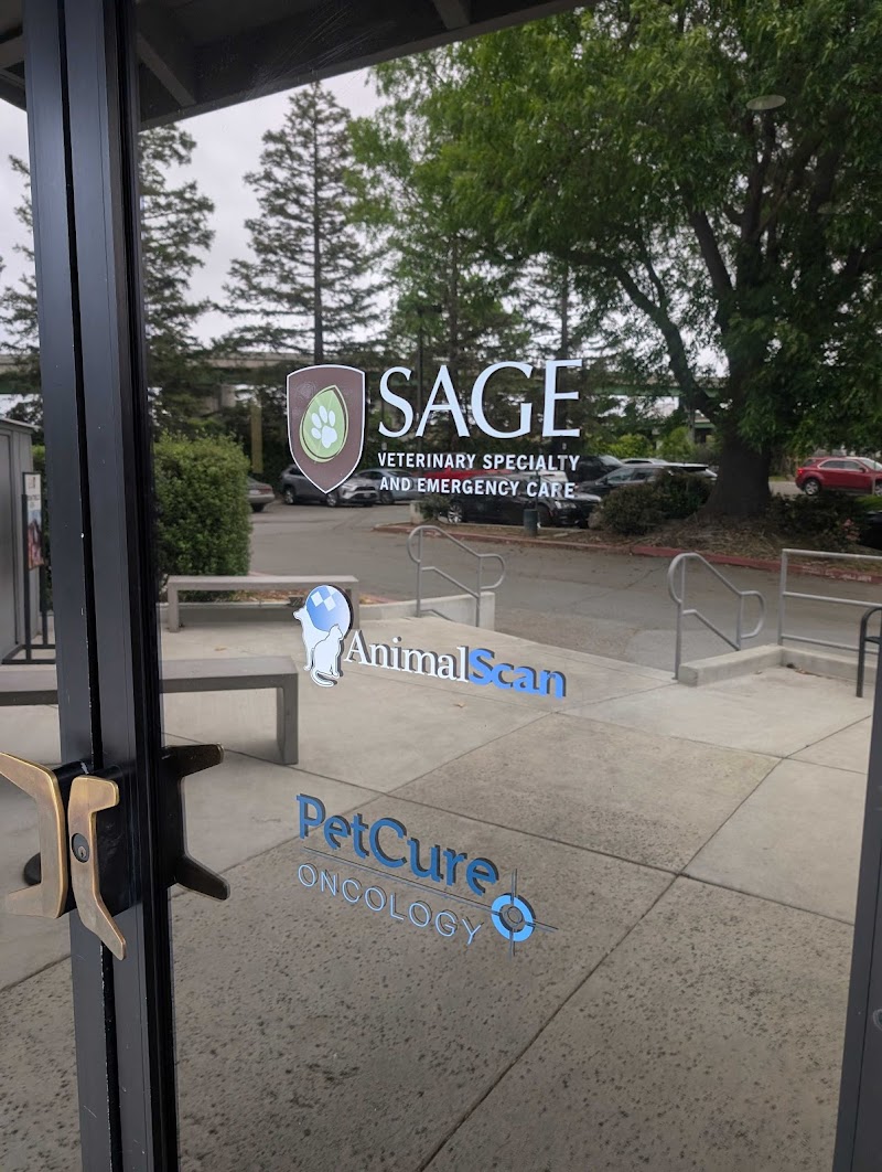 PetCure Oncology San Jose - Advanced Cancer Treatments for Cats & Dogs