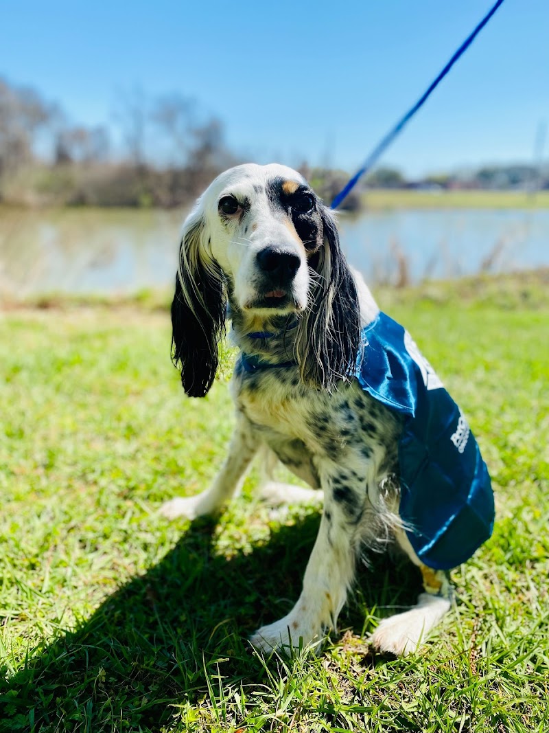 PetCure Oncology San Jose - Advanced Cancer Treatments for Cats & Dogs