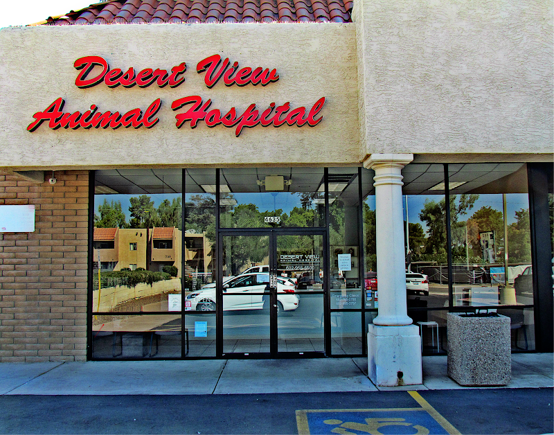 Desert View Animal Hospital
