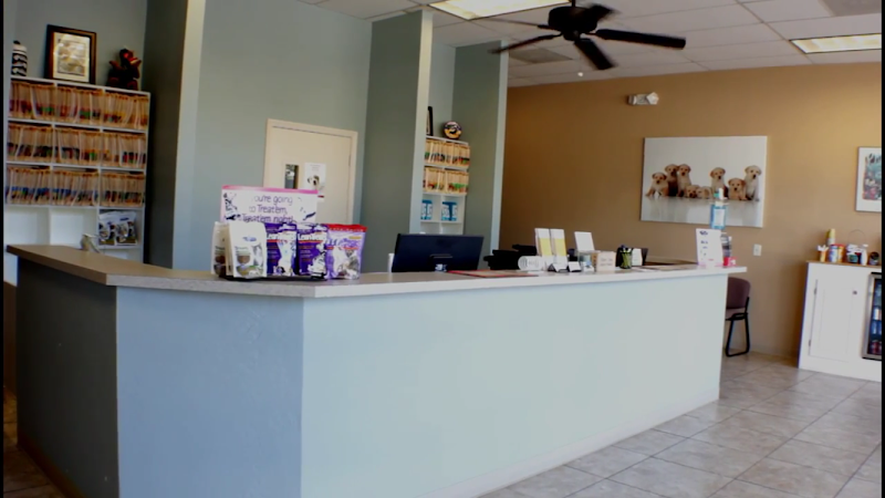 Desert View Animal Hospital