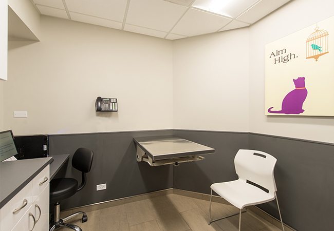 VCA Blum Animal Hospital