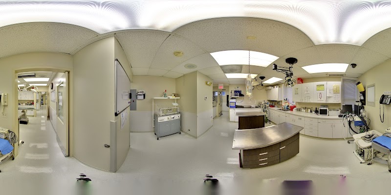 VCA Blum Animal Hospital