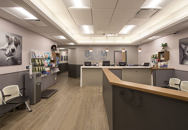 VCA Blum Animal Hospital