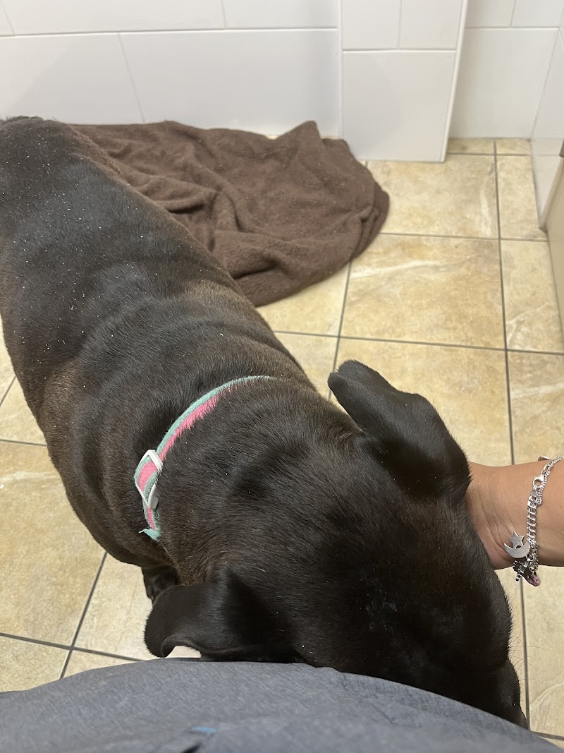 East Lake Veterinary Hospital