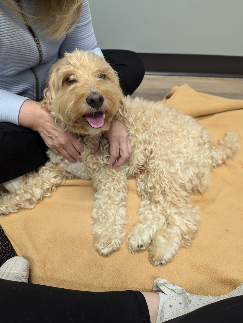 Wisconsin Veterinary Neurology & Surgical Center