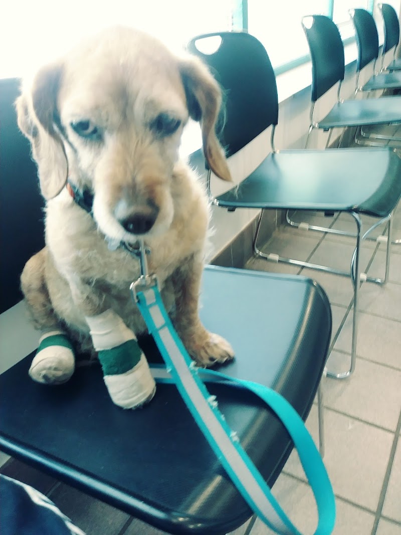 Humane Colorado, formerly the Dumb Friends League - Veterinary Hospital at CSU Spur