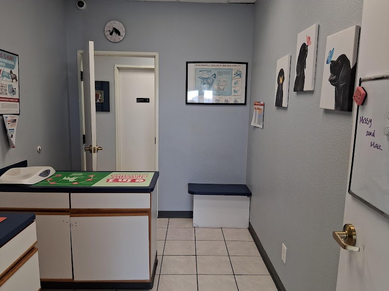 Animal Medical Center of Austin
