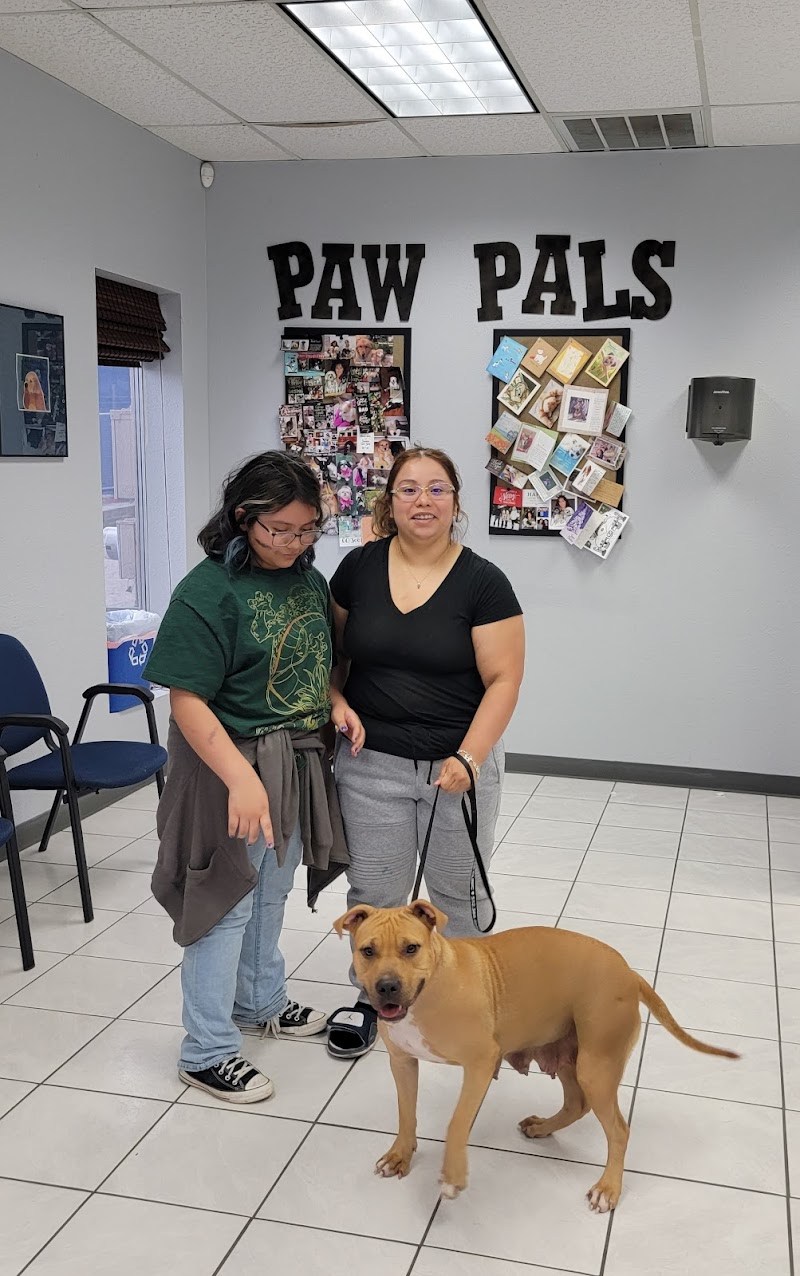 Animal Medical Center of Austin