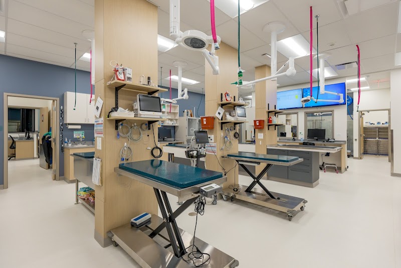 Premier Veterinary Group - Mundelein