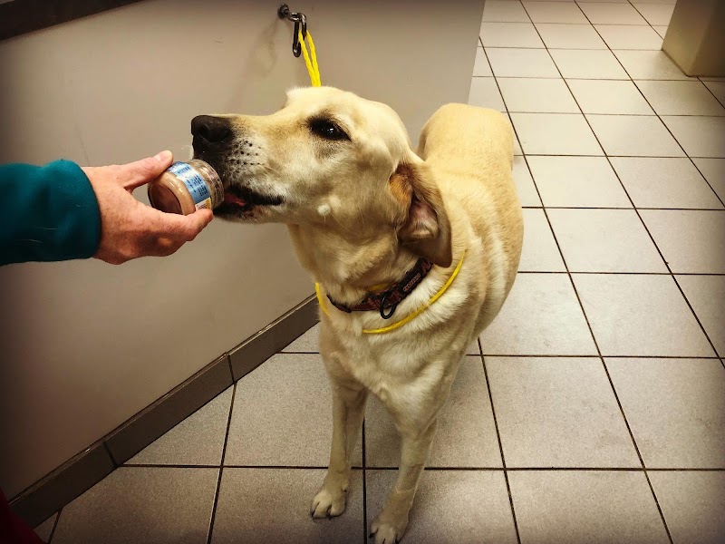 Premier Veterinary Group - Mundelein