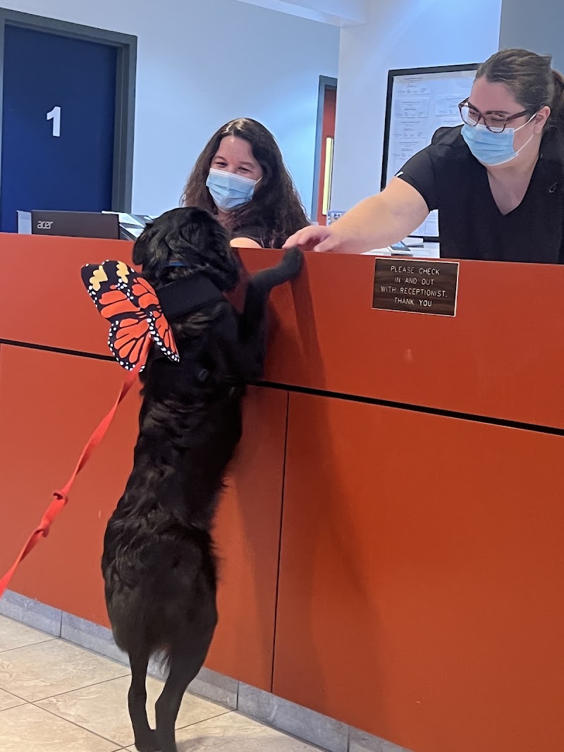 Vancouver Veterinary Hospital