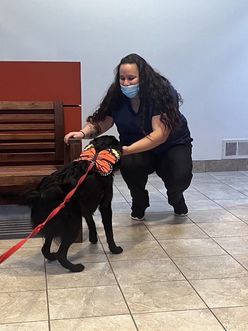 Vancouver Veterinary Hospital