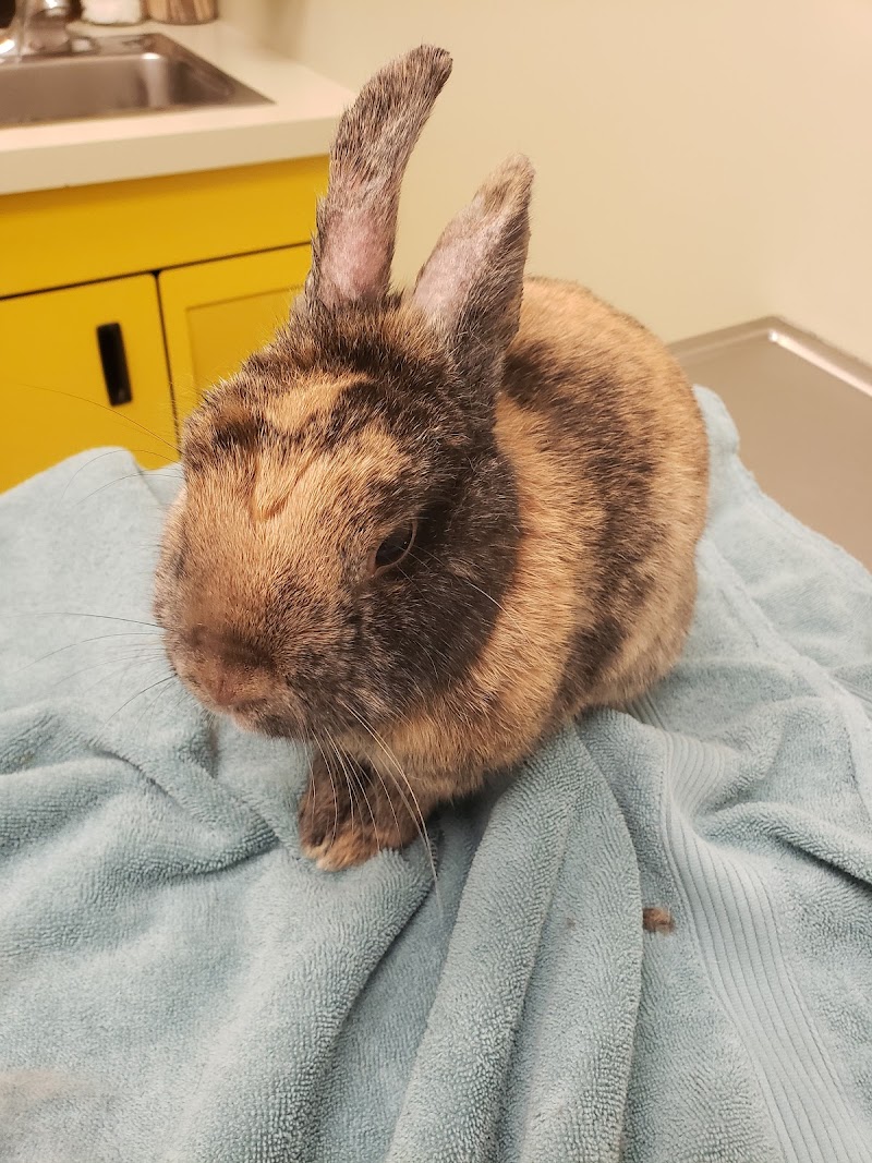 Vancouver Veterinary Hospital - Vancouver