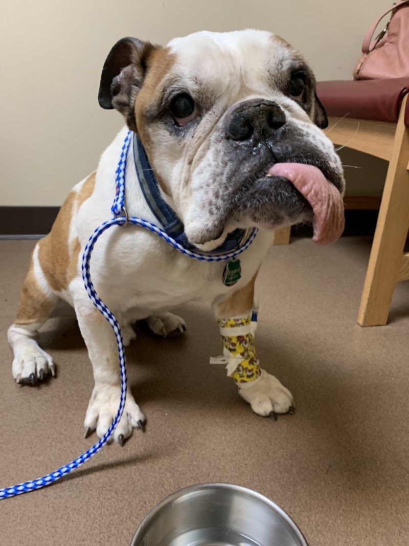 Veterinary Emergency Center of Manchester
