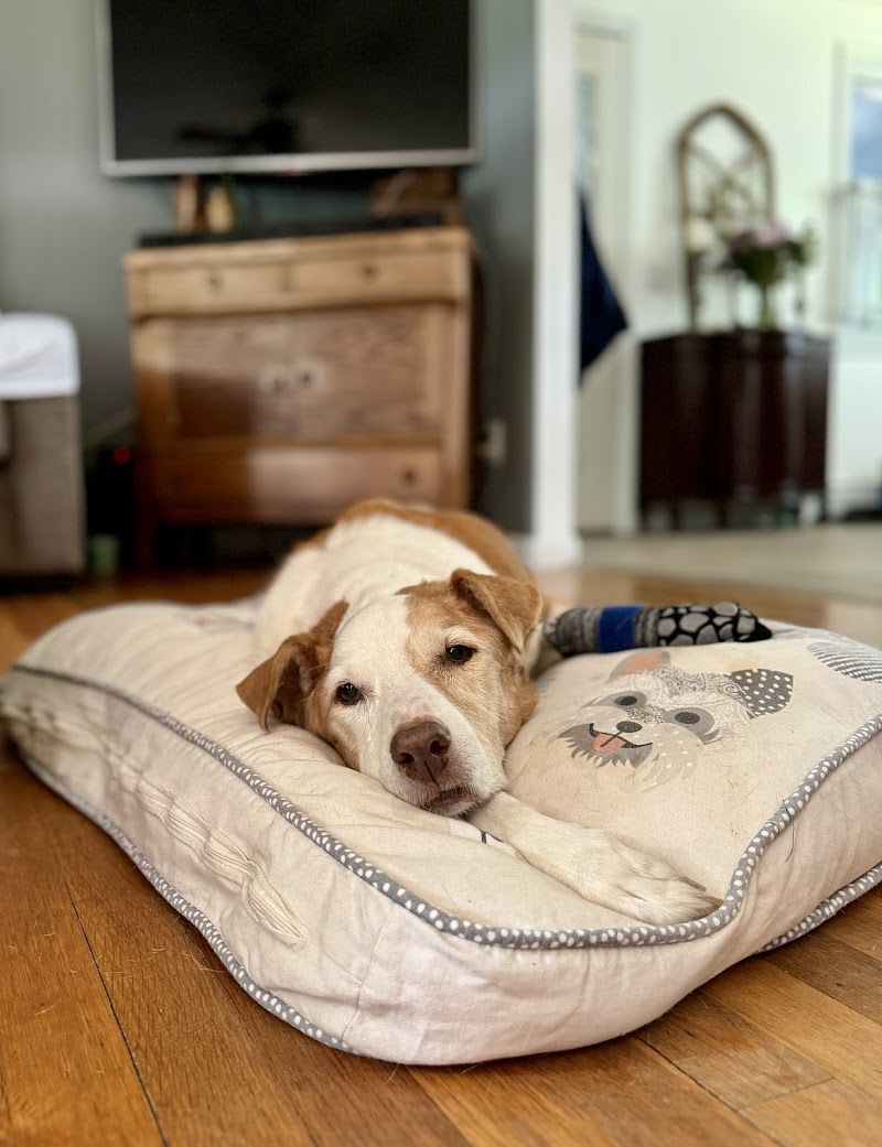 Veterinary Emergency Center of Manchester