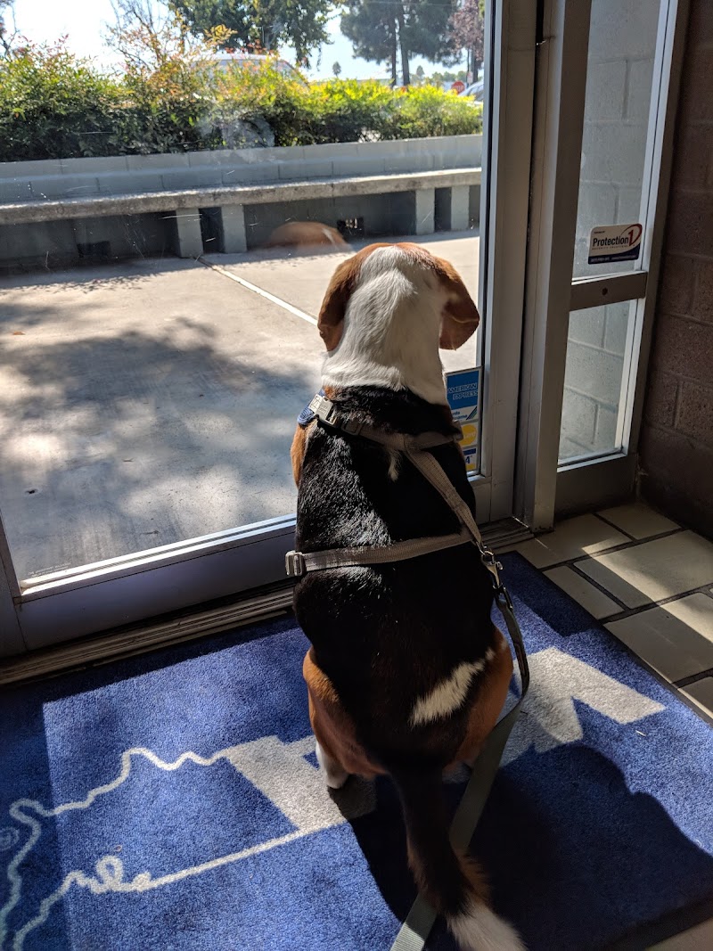 VCA Blossom Hill Animal Hospital