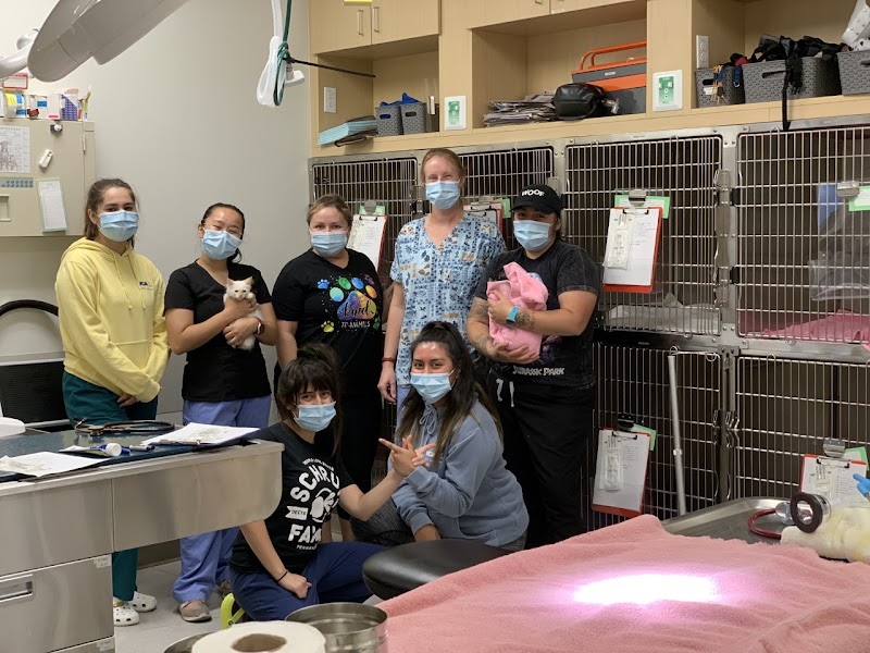 VCA Blossom Hill Animal Hospital