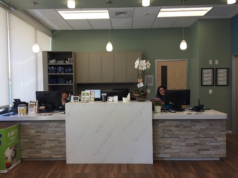VCA Blossom Hill Animal Hospital