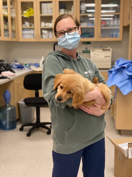 VCA Blossom Hill Animal Hospital