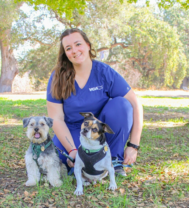 VCA Mission San Jose Animal Hospital