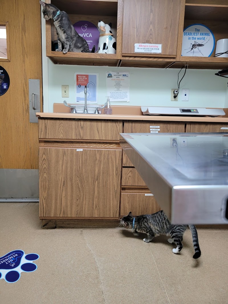 VCA Southeast Area Animal Hospital