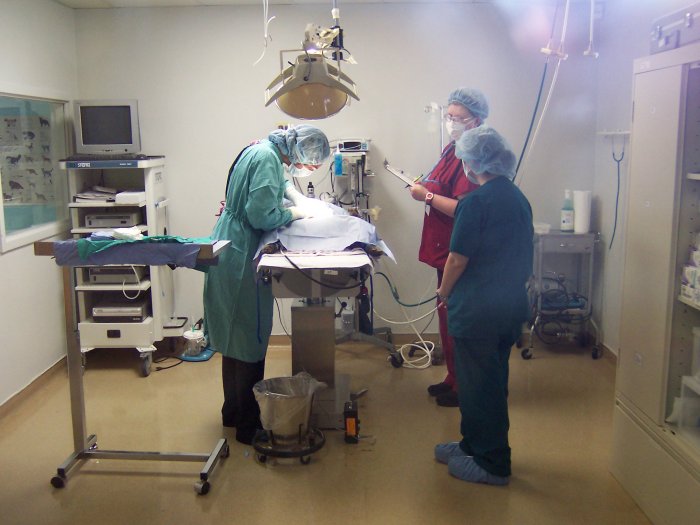 VCA Southeast Area Animal Hospital