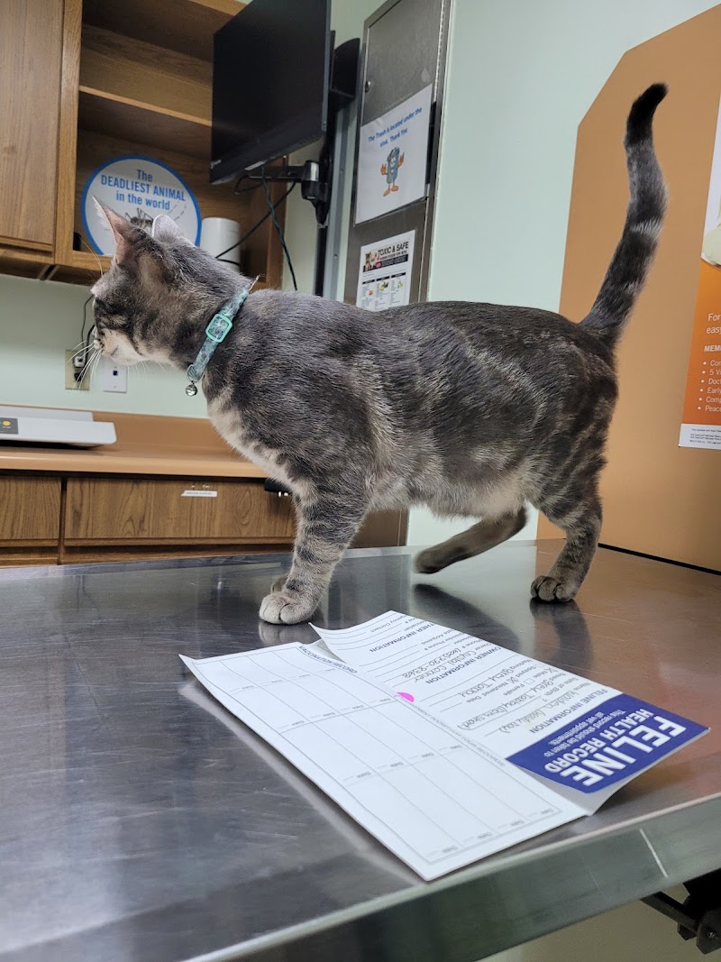 VCA Southeast Area Animal Hospital