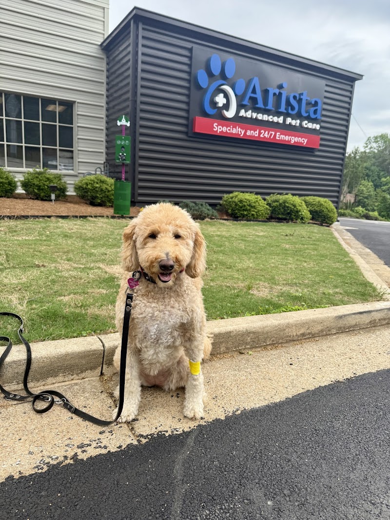 Arista Advanced Pet Care | Atlanta