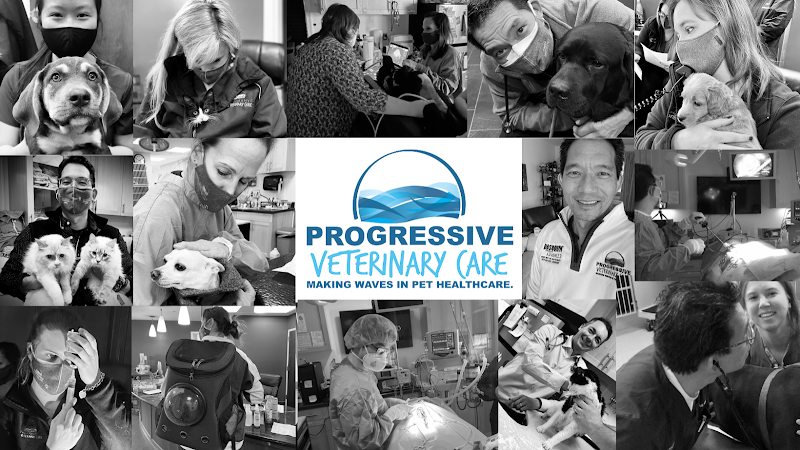 Progressive Veterinary Care | Skilled, Compassionate Vet in Skillman NJ