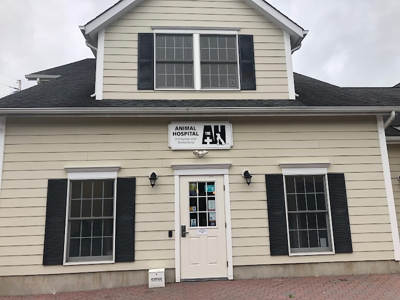 Progressive Veterinary Care | Skilled, Compassionate Vet in Skillman NJ