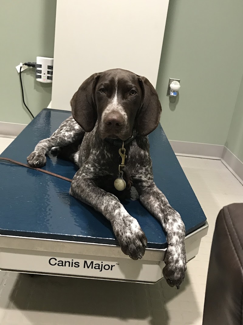 Progressive Veterinary Care | Skilled, Compassionate Vet in Skillman NJ