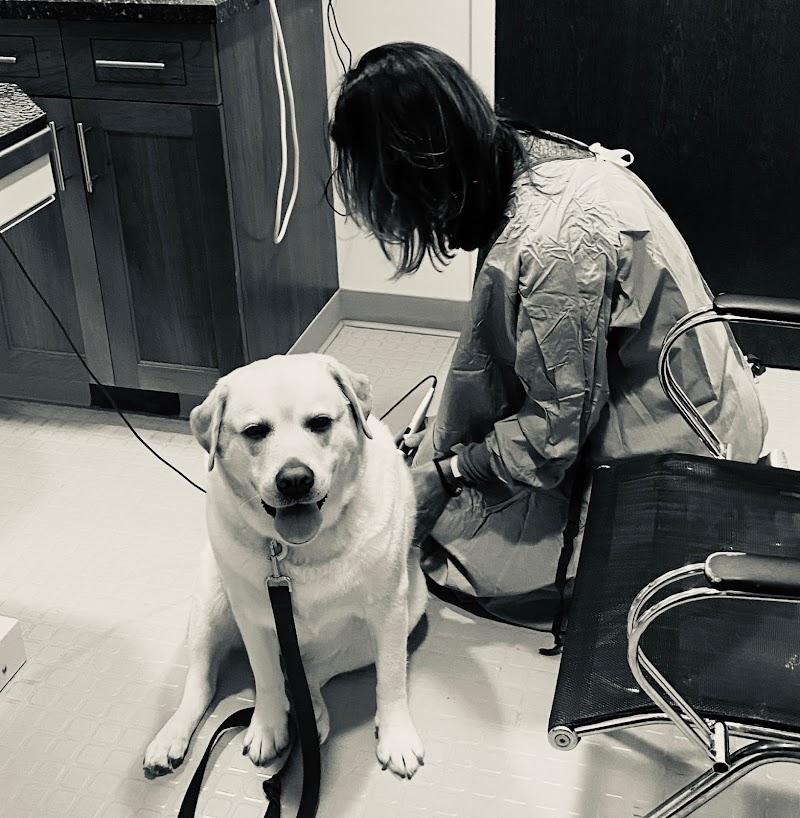 Progressive Veterinary Care | Skilled, Compassionate Vet in Skillman NJ