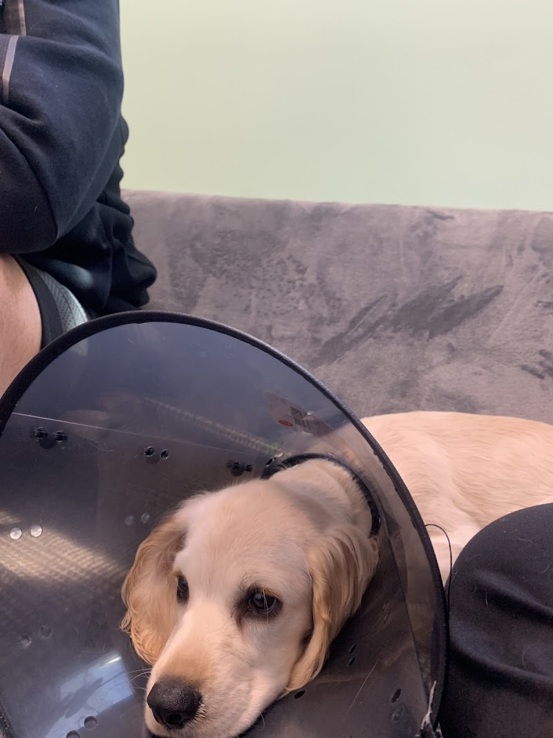 Grand Animal Hospital