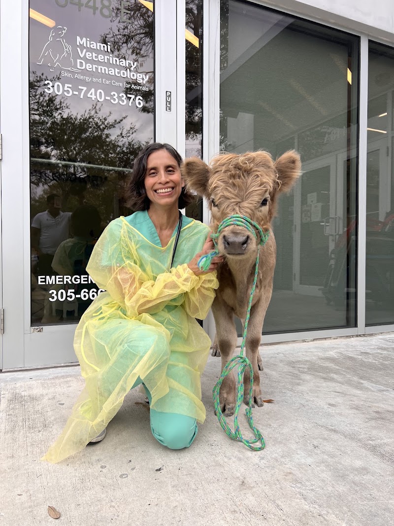 Miami Veterinary Dermatology