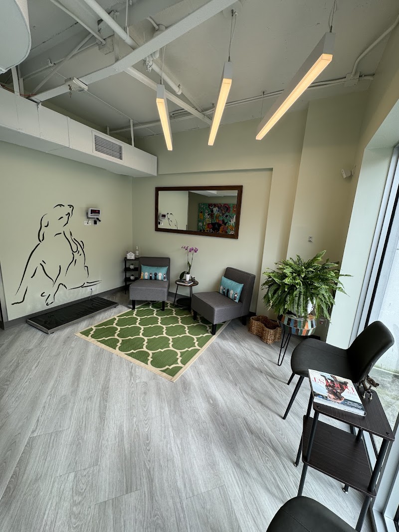 Miami Veterinary Dermatology