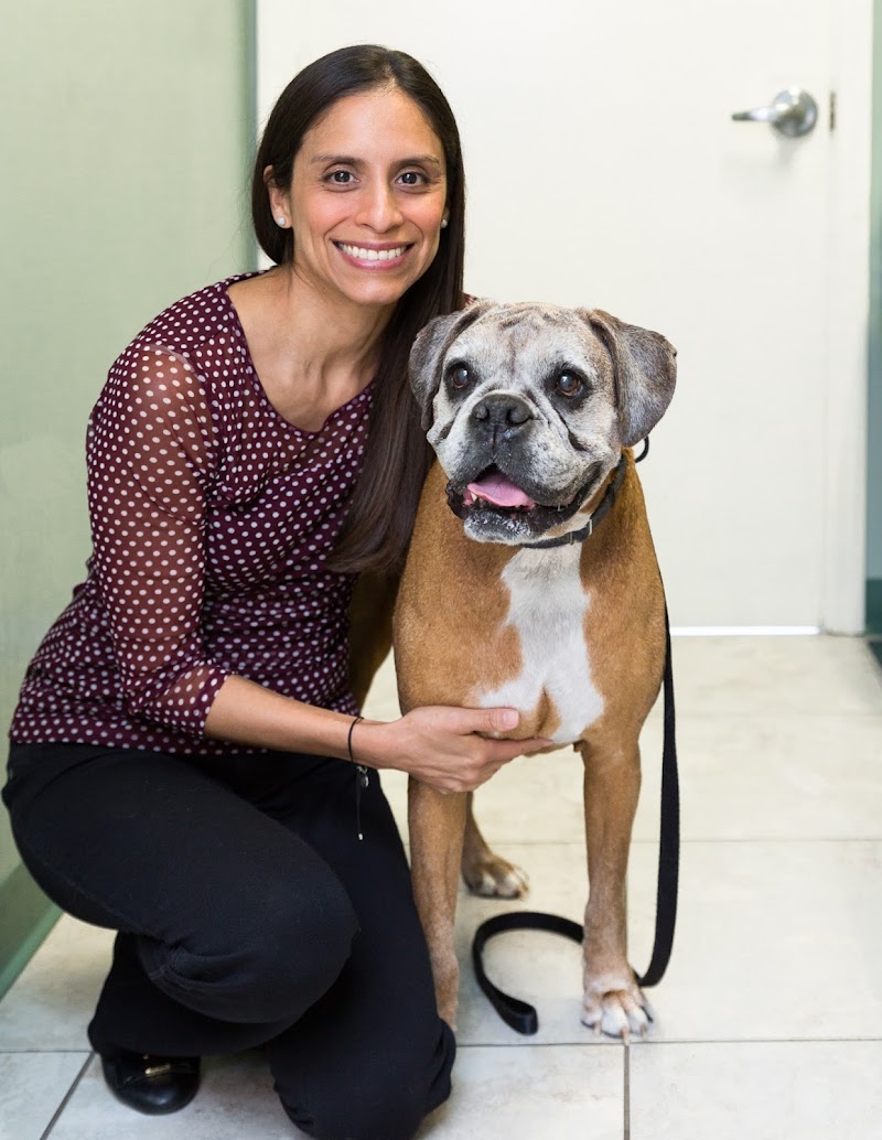 Miami Veterinary Dermatology