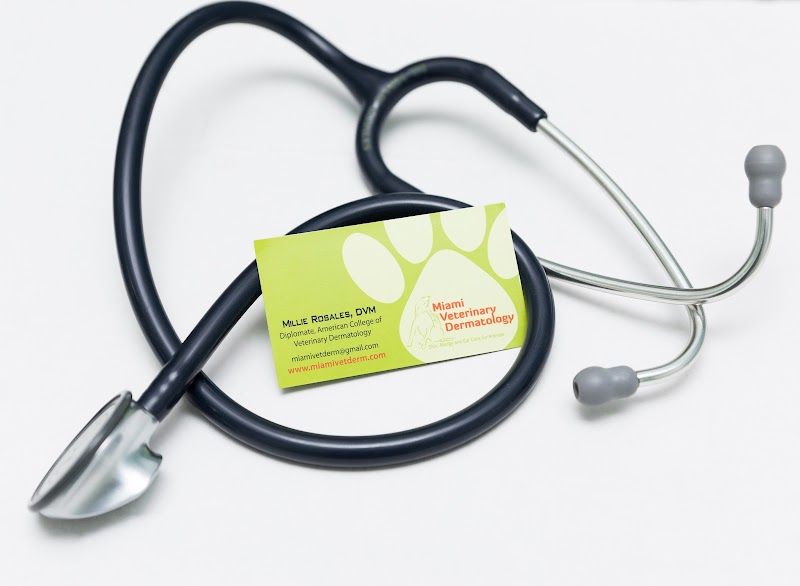 Miami Veterinary Dermatology