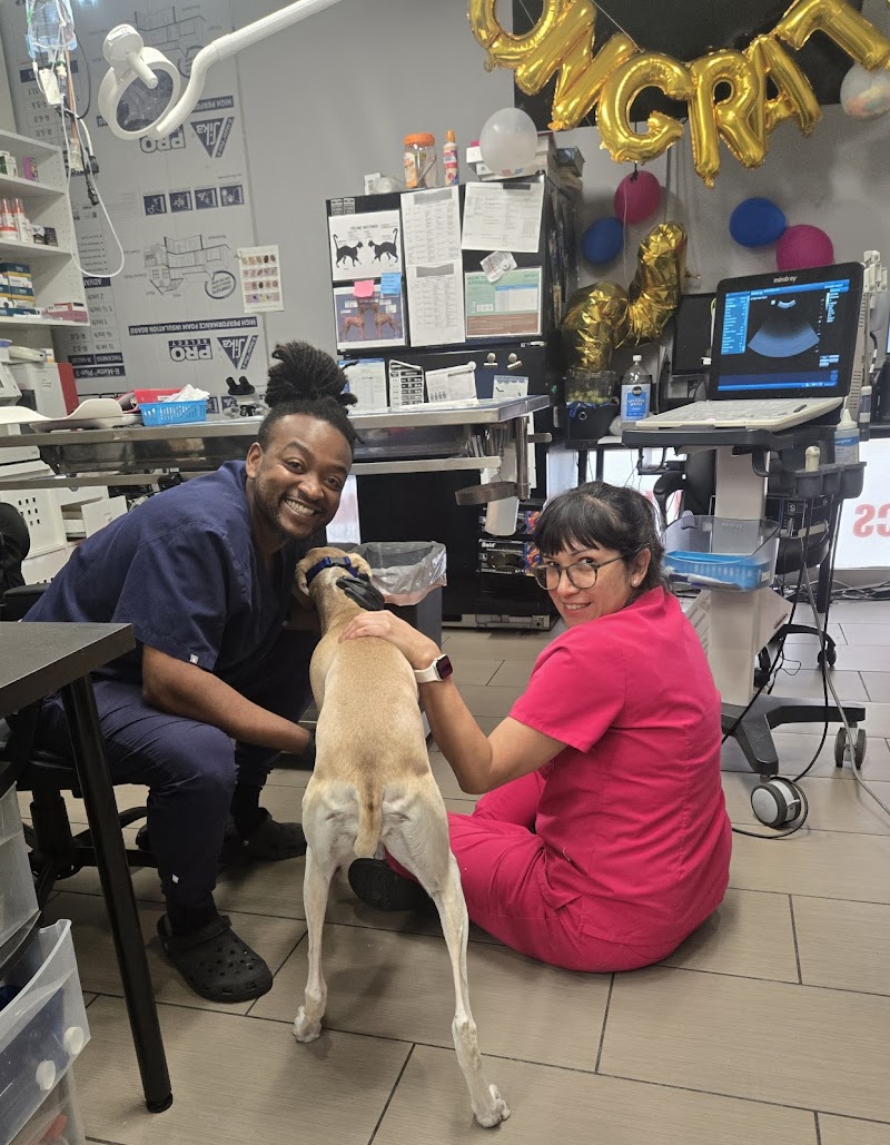 Eagle Rock Pet Care