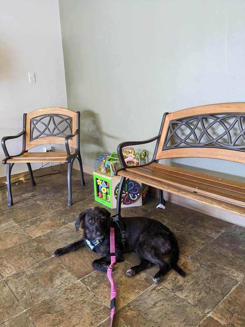Four Paws Veterinary Center
