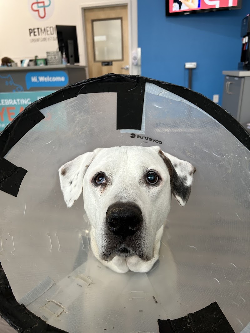 Portland PetMedic Urgent Care Vet Clinic
