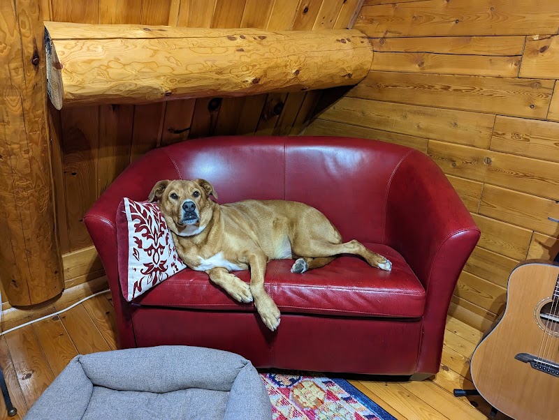 Portland PetMedic Urgent Care Vet Clinic