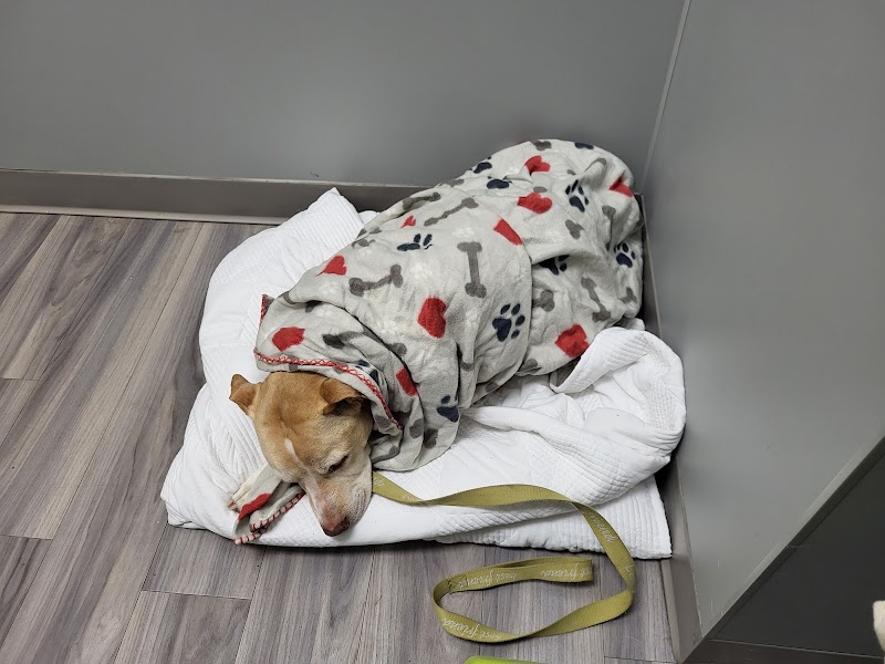 Portland PetMedic Urgent Care Vet Clinic
