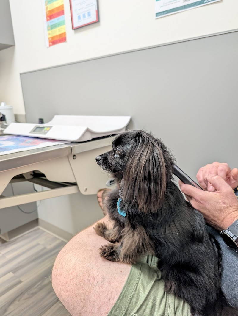 Portland PetMedic Urgent Care Vet Clinic