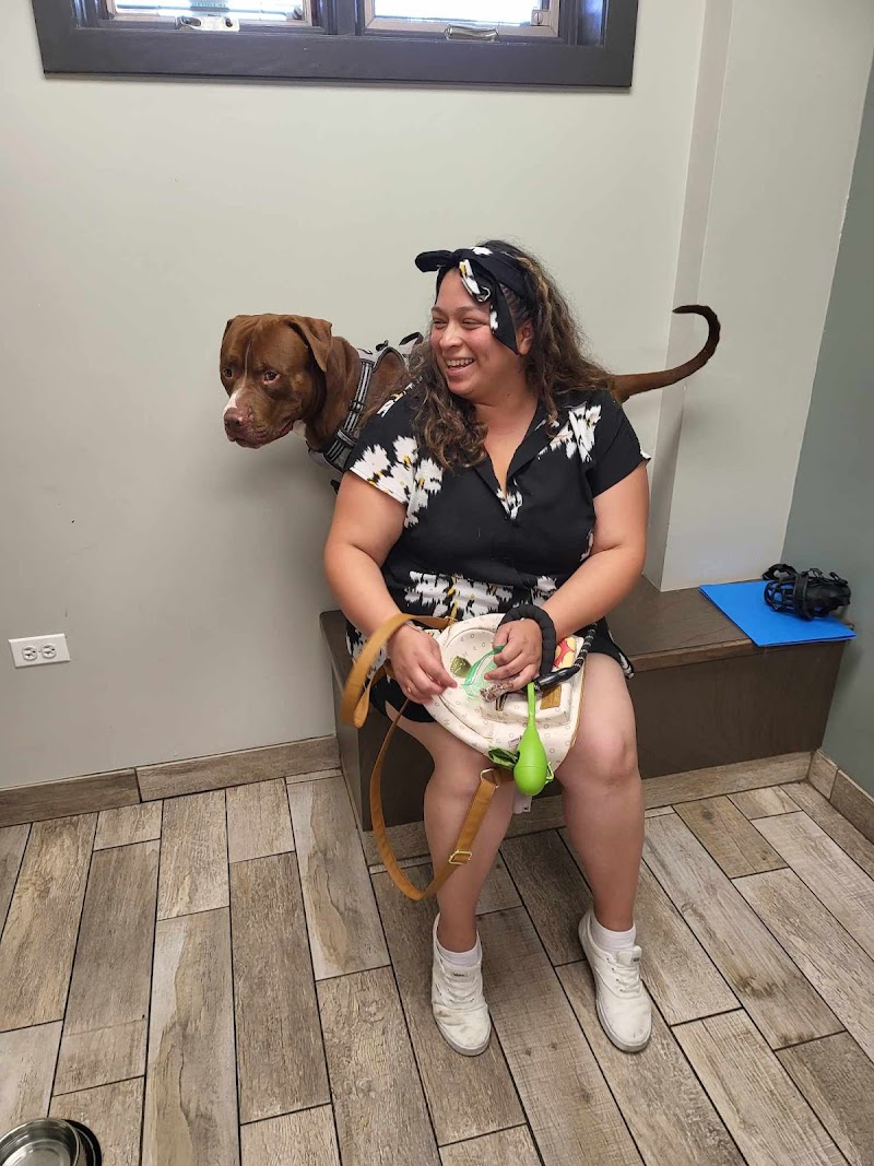 Companion Animal Hospital of Norridge