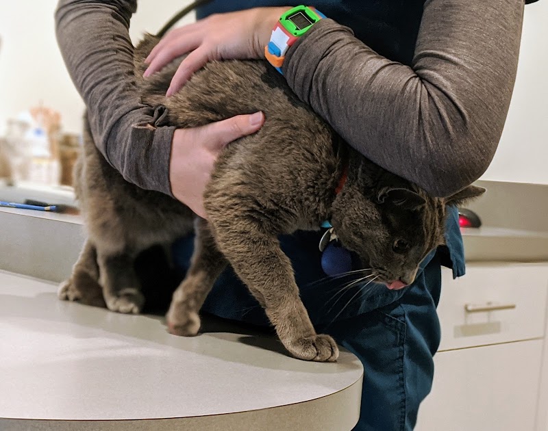University Vet Hospital - Berkeley
