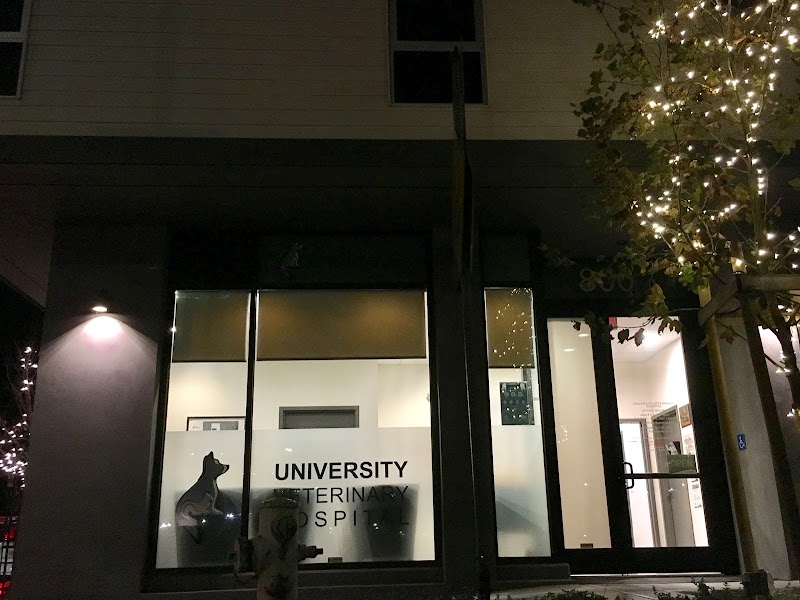 University Vet Hospital